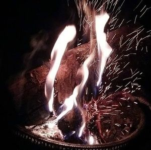 Meet your Posher, Frederick